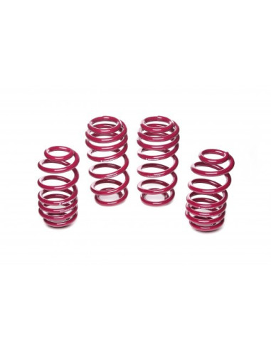 AUDI A6 Vogtland Ültetőrugó Szett 950013