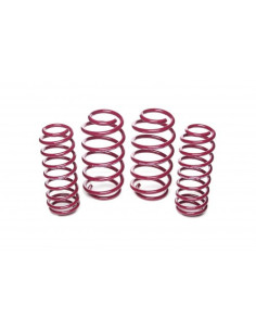 SEAT IBIZA Vogtland ültetőrugó szett 951304 2