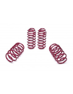 SEAT LEON Vogtland ültetőrugó szett 951300 2