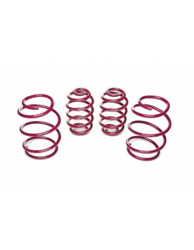 BMW (E46) 3-as Vogtland Ültetőrugó Szett 951060