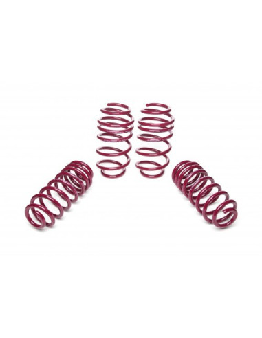 AUDI A3 Vogtland Ültetőrugó Szett 950008