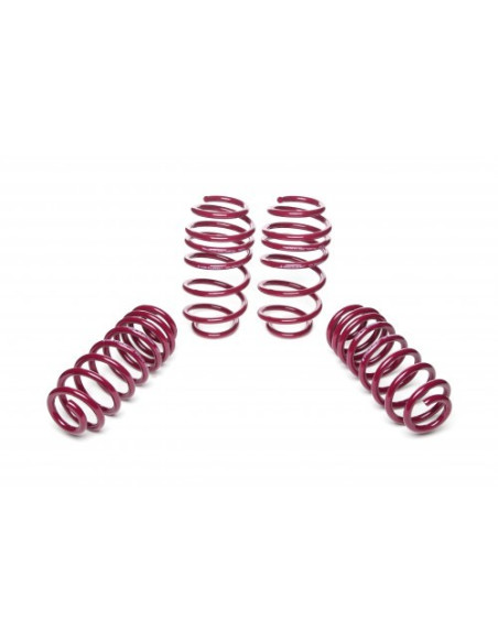 VOLKSWAGEN GOLF 5 ültetőrugó szett 950008