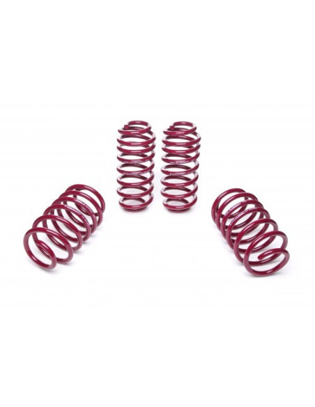 SKODA OCTAVIA Vogtland ültetőrugó szett 950019