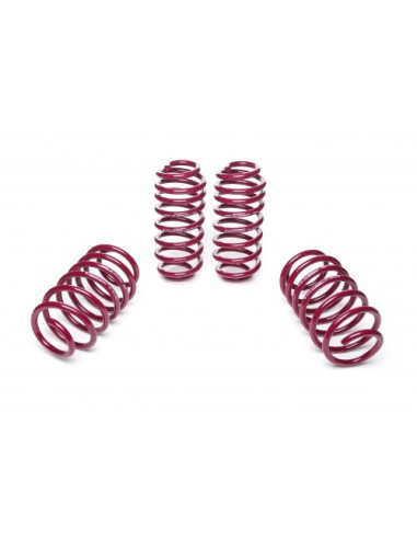 VOLKSWAGEN GOLF 6 ültetőrugó szett 956156