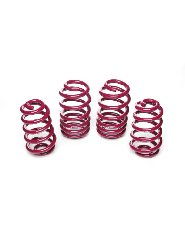 AUDI A4 Vogtland Ültetőrugó Szett 950097