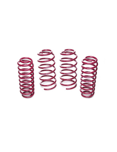 SEAT LEON Vogtland ültetőrugó szett 951388