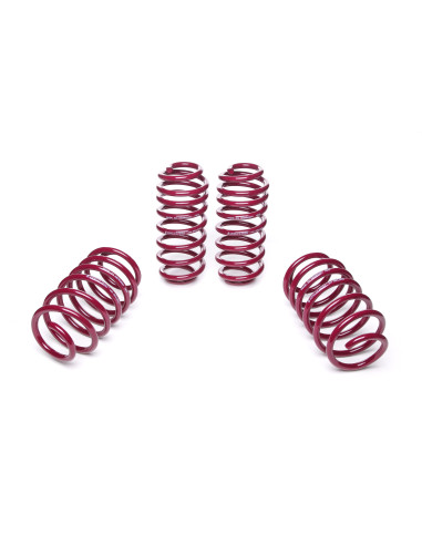 SEAT LEON Vogtland ültetőrugó szett 951301