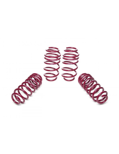 AUDI A3 Vogtland Ültetőrugó Szett 950007